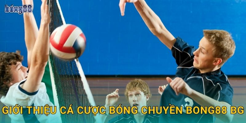Giới thiệu cá cược bóng chuyền Bong88 bg