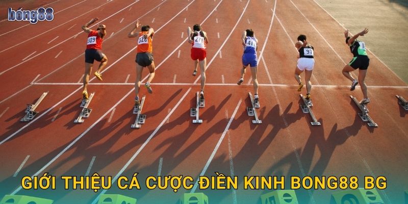Giới thiệu cá cược điền kinh Bong88 bg