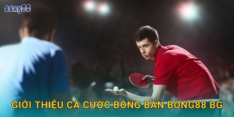 Giới thiệu cá cược bóng bàn Bong88 bg