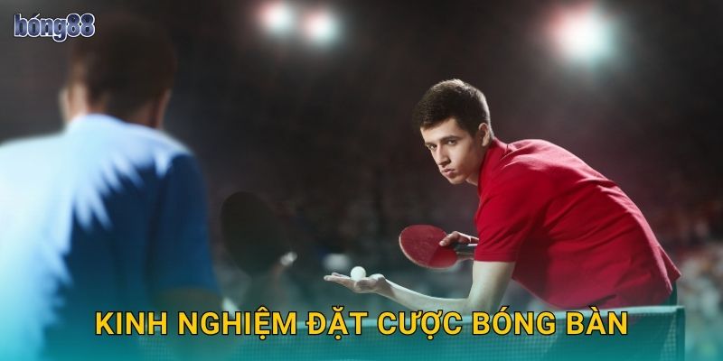 Kinh nghiệm đặt cược bóng bàn