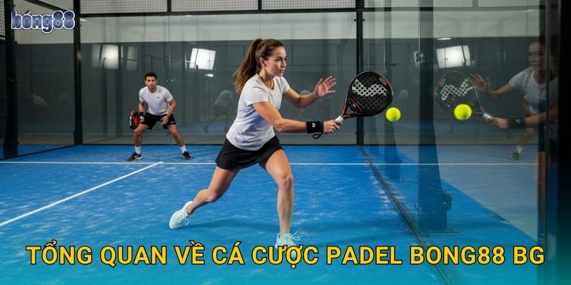 Tổng quan về cá cược Padel Bong88 bg